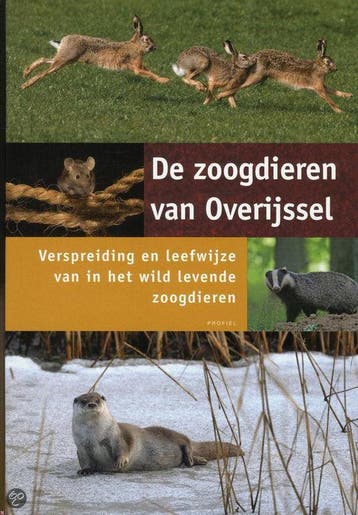 De Zoogdieren Van Overijssel - Theo Douma 9789052945101, Verzenden, Zo goed als nieuw, Theo Douma