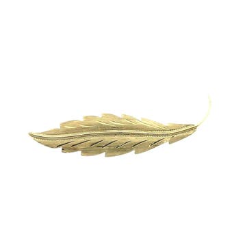 Gouden veer broche, Ophalen of Verzenden, Gebruikt, Goud, Goud