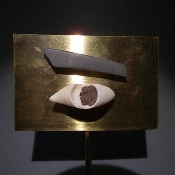 Oud-Egyptisch kalksteen Oog-sarcofaagmasker. Late Periode,, Verzamelen