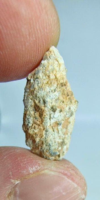 Maanmeteoriet Bechar 006. Feldspathische breccie. - 1.8 g
