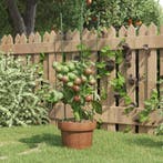vidaXL Plantensteunen 5 st met 3 ringen 60 cm staal groen, Tuin en Terras, Bloembakken en Plantenbakken, Verzenden, Nieuw, 60 cm of meer