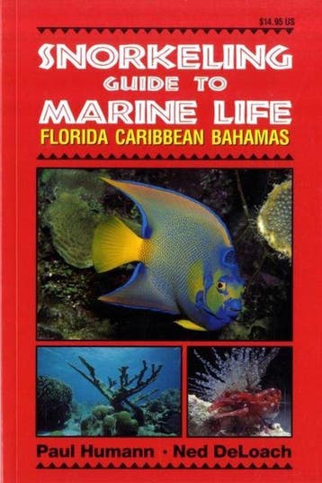 Snorkeling Guide to Marine Life - Paul Humann 9781878348104, Verzenden, Gelezen, Paul Humann