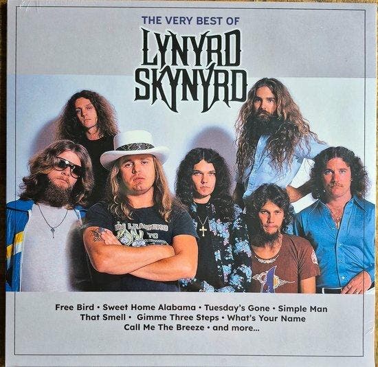 LYNYRD SKYNYRD - THE VERY BEST OF (LP), Cd's en Dvd's, Vinyl | Pop, Verzenden