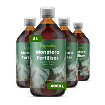 Monstera Vloeibare Meststof - Set 4x1 liter, Verzenden, Mest