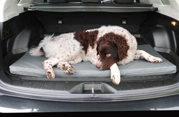 Bia bed matras ligbed grijs (Hondenmanden Bia bed, Honden), Verzenden, Nieuw