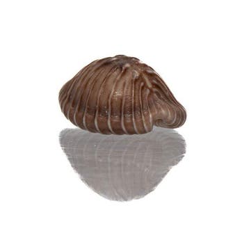 Pusula radians (20mm) - GIGANTISCHE MAAT - PerfectE JUWEEL, Verzamelen, Nieuw