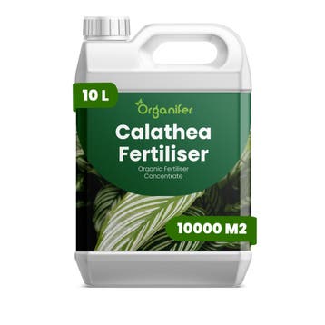 Calathea Vloeibare meststof - 10 liter, Verzenden, Mest