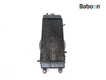 Radiateur Honda VT 700 C Shadow 1986-1987 (VT700C RC19), Verzenden, Gebruikt
