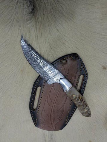 Frontier Fang 231– Damascus Steel Outdoor Knife with Burl
