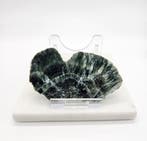 Serafiniet plak, Ophalen of Verzenden