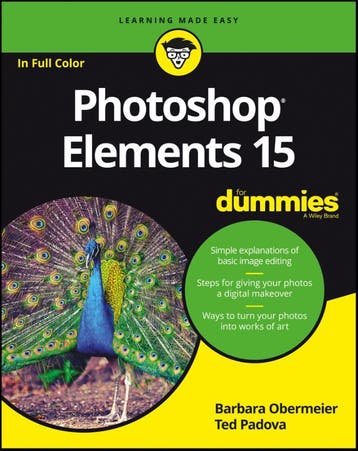 Photoshop Elements 15 For Dummies 9781119281498, Boeken, Verzenden, Zo goed als nieuw