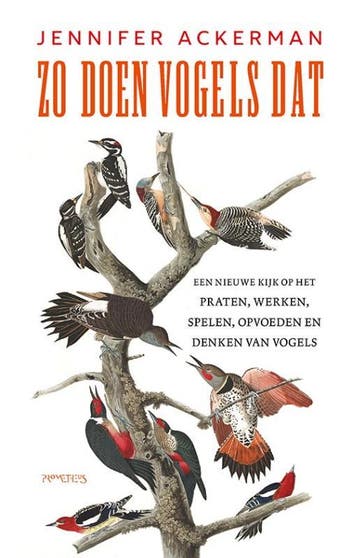 Zo doen vogels dat - Jennifer Ackerman 9789044645910, Verzenden, Zo goed als nieuw, Jennifer Ackerman