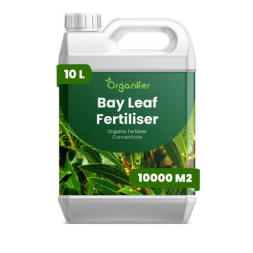 Laurierblad Vloeibare Meststof - 10 Liter, Verzenden, Mest