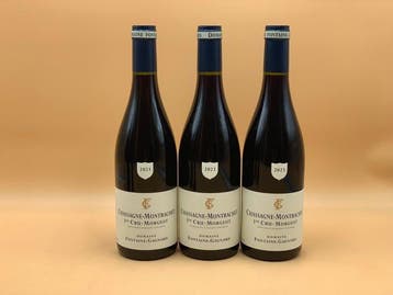 2023 Domaine Fontaine-Gagnard Morgeot Rouge -, Nieuw