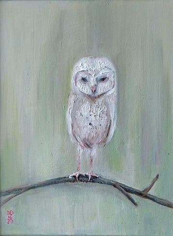 Dorien Plaat - Noctua
