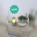 Groene kwarts lamp, Ophalen of Verzenden, Nieuw