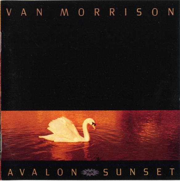 cd - Van Morrison - Avalon Sunset, Cd's en Dvd's, Cd's | Overige Cd's, Zo goed als nieuw, Verzenden