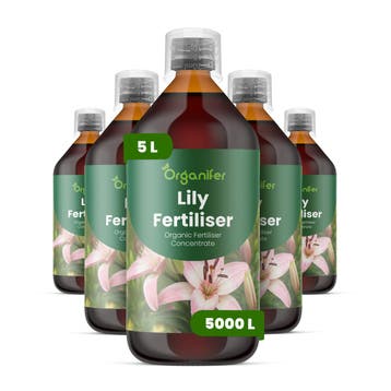 Lelie Vloeibare meststof - Set 5x1 liter, Tuin en Terras, Verzenden, Mest