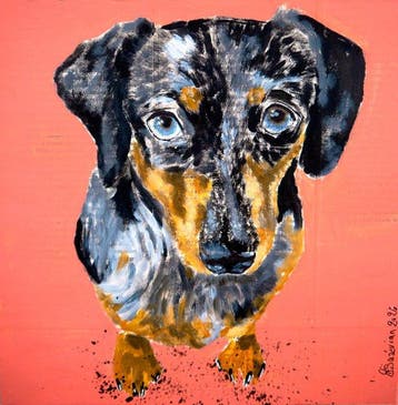 Bazévian DelaCapucinière - Portrait With Puppy dogs eyes