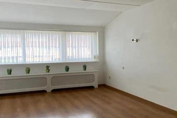 Huis Gelaarsde Kat in Eindhoven, Via bemiddelaar, Eindhoven, Overige soorten, Noord-Brabant