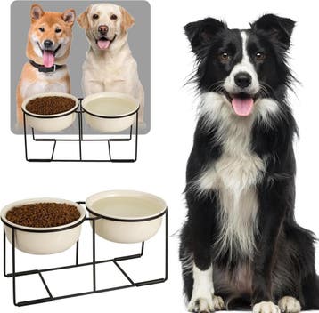 Ergonomische Voerbak Hond - XL | Retourdeal | Laatste Stuk!, Ophalen of Verzenden, Zo goed als nieuw