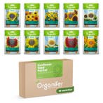 Zonnebloem Zadenpakket - 10 Soorten, Verzenden, Gehele jaar, Volle zon