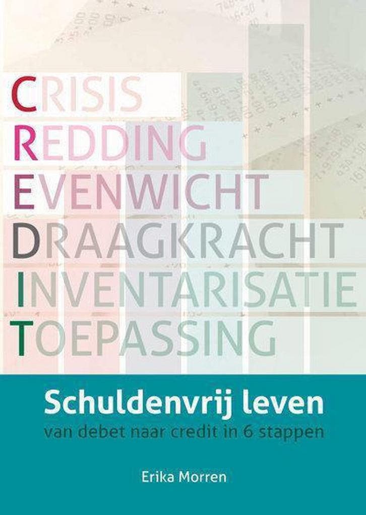 schuldenvrij leven - Erika Morren 9789082075502, Boeken, Overige Boeken, Zo goed als nieuw, Verzenden