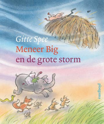 Meneer Big en de grote storm - Gitte Spee 9789021683553, Boeken, Verzenden, Zo goed als nieuw, Gitte Spee