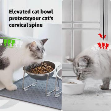 Verhoogde RVS Kattenbak met 15° Kantelontwerp - Gezond Eten,