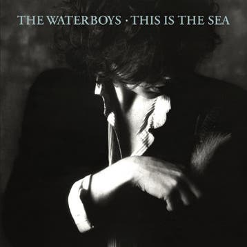 The Waterboys - This Is The Sea  (vinyl LP), Verzenden, Nieuw in verpakking, 12 inch