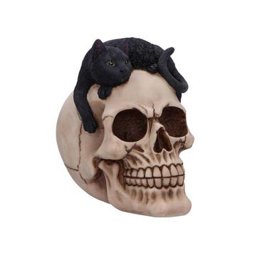 Decoratief ornament - Nemesis Now Skull & Black Cat Figurine