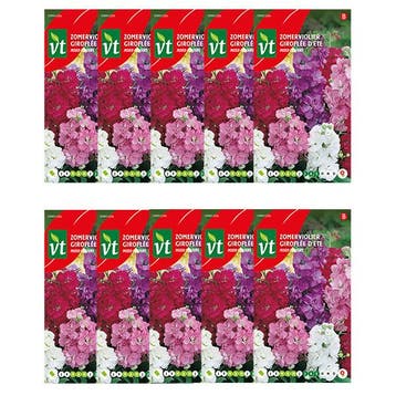 Bloemzaden zomerviolier | VT | 10 stuks (Gemengd), Tuin en Terras, Bloembollen en Zaden, Verzenden