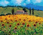 Agostino Veroni (1963) - Sunflowers field - Tuscany