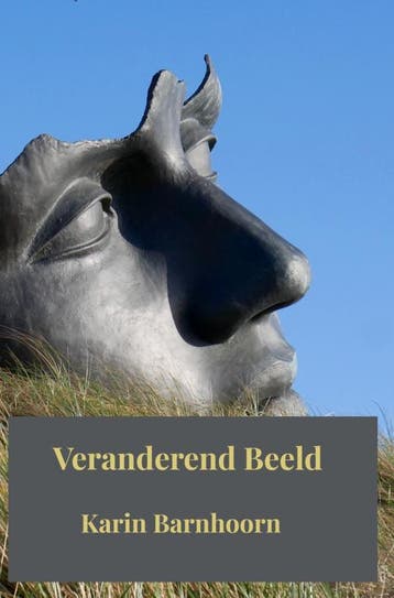 Veranderend Beeld | Karin Barnhoorn | Nieuw, Boeken, Ophalen of Verzenden, Nieuw, Karin Barnhoorn