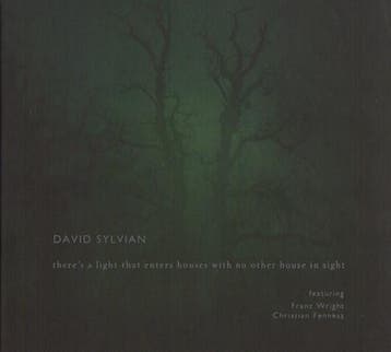 David Sylvian Featuring Franz Wright, Fennesz - Theres A, Cd's en Dvd's, Ophalen of Verzenden, Gebruikt