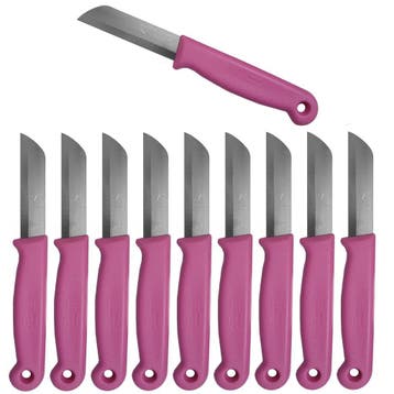 Solingen Schilmesje – RVS Glad – 16 cm met Blade Cover, Ophalen of Verzenden, Nieuw, Rvs of Chroom