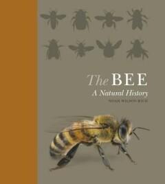 The Bee - Noah Wilson-Rich 9781782401070, Verzenden, Zo goed als nieuw, Noah Wilson-Rich