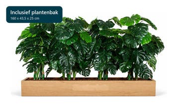 Kunstplantenpakket Amsterdam met plantenbak, 160 cm, Ophalen of Verzenden, Overige soorten, 150 tot 200 cm