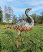 Figuur - Levensechte struisvogel - IJzer, Metaal