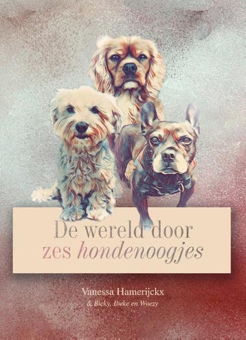 De wereld door zes hondenoogjes - Vanessa Hamerijckx, Verzenden, Zo goed als nieuw, Vanessa Hamerijckx