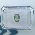 Zonder minimumprijs - 1 pcs Groen, Paars, Bruin Alexandriet, Nieuw