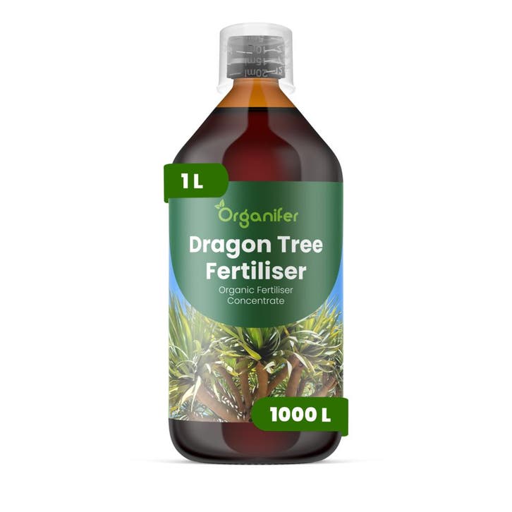 Drakenboom Vloeibare Meststof - 1 liter, Tuin en Terras, Aarde en Mest, Mest, Verzenden
