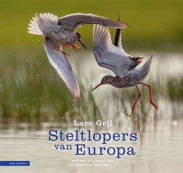 Steltlopers Van Europa | Lars Gejl | Nieuw, Ophalen of Verzenden, Nieuw, Lars Gejl