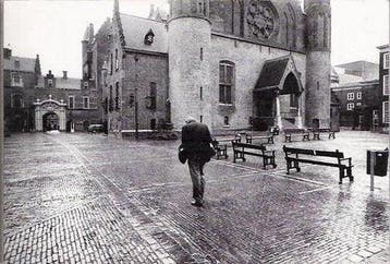 Haagse helden - Rozenburg, Verzenden, Gelezen
