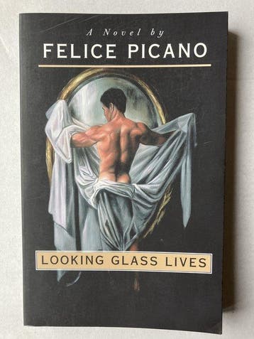 Looking Glass Lives - Felice Picano 9781555834814, Boeken, Verzenden, Gelezen, Felice Picano