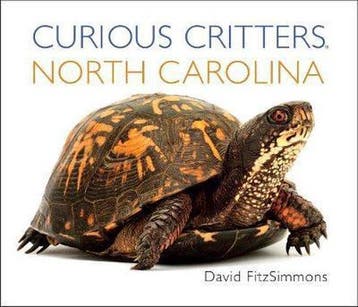 Curious Critters North Carolina - David Fitzsimmons, Verzenden, Gelezen, David Fitzsimmons