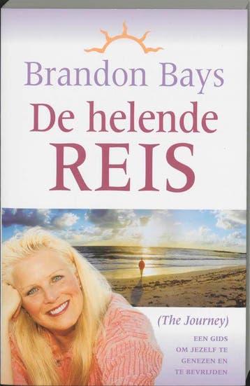 De helende Reis - Brandon Bays 9789022535691, Boeken, Verzenden, Gelezen, Brandon Bays