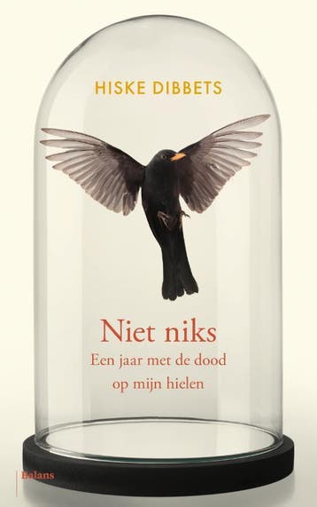 Niet Niks | Hiske Dibbets | Nieuw, Ophalen of Verzenden, Nieuw, Hiske Dibbets