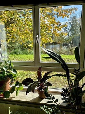 Te huur: Appartement Heesterveld in Amsterdam, Noord-Holland, Appartement, Amsterdam