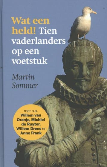 Wat een held! 9789085712527 Martin Sommer, Verzenden, Zo goed als nieuw, Martin Sommer